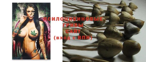mdma Дмитров