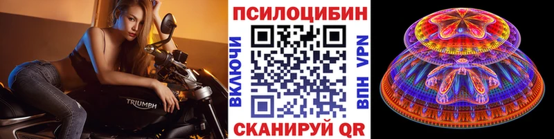 Галлюциногенные грибы Psilocybine cubensis  сайты даркнета наркотические препараты  Зерноград  что такое  